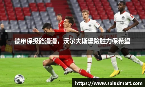 德甲保级路漫漫，沃尔夫斯堡险胜力保希望